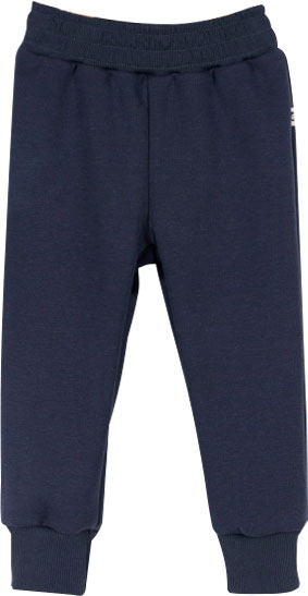 Купить брюки baby boom, р. 104, футер 3-х нитка soft, полярная ночь вНовороссийске в интернет-магазине LEMI KIDS